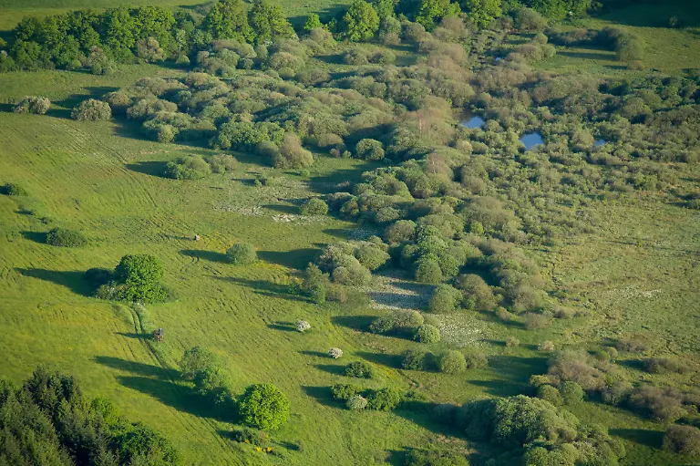 Mürmes_Maar_wetland_nature conservation area  © Natur- und Geopark Vulkaneifel